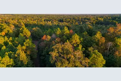 Tbd Farm To Market 1012, Newton, TX 75966 - Photo 23
