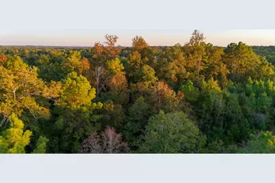 Tbd Farm To Market 1012, Newton, TX 75966 - Photo 7