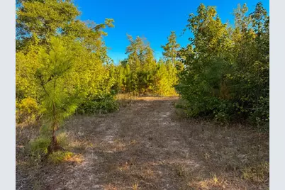 Tbd Farm To Market 1012, Newton, TX 75966 - Photo 11