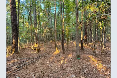 Tbd Farm To Market 1012, Newton, TX 75966 - Photo 27