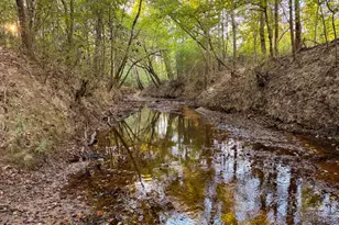 Tbd Farm To Market 1012, Newton, TX 75966 - Photo 1