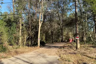 15734 Holly Dr, Montgomery, TX 77356 - Photo 1