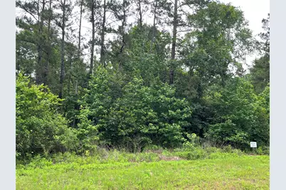 15841 Ridge Rock Road, Willis, TX 77378 - Photo 5