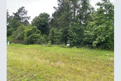 15841 Ridge Rock Road, Willis, TX 77378 - Photo 7