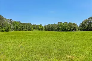 398 County Rd 172, Jasper, TX 75951 - Photo 1