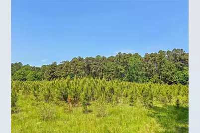 398 County Road 172, Jasper, TX 75951 - Photo 25