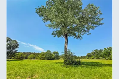 398 County Road 172, Jasper, TX 75951 - Photo 11
