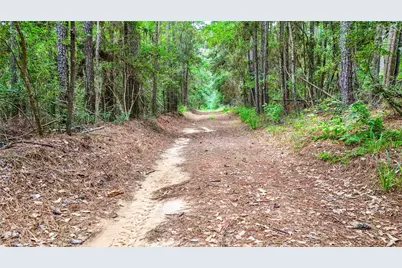 398 County Road 172, Jasper, TX 75951 - Photo 47