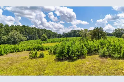 398 County Road 172, Jasper, TX 75951 - Photo 21