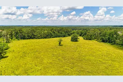 398 County Road 172, Jasper, TX 75951 - Photo 43