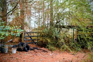 11167 State Hwy 87 S, Shelbyville, TX 75973 - Photo 3