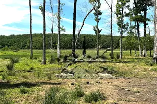3400 FM 1127, Shepherd, TX 77371 - Photo 1