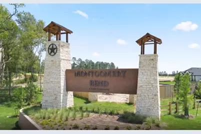 925 Silver Buckle Lane, Montgomery, TX 77356 - Photo 19