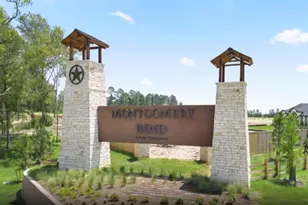 925 Silver Buckle Ln, Montgomery, TX 77356 - Photo 19