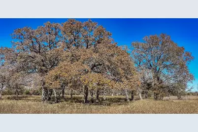 Tbd Hwy 71 By- Feeder Road, La Grange, TX 78945 - Photo 9