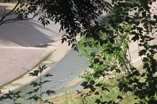 1441 East St, Houston, TX 77007 - Photo 23