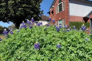 8417 Folkstone Ln, Houston, TX 77075 - Photo 3