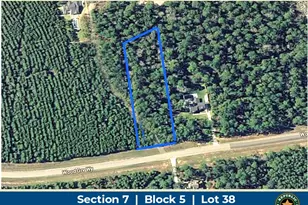 15769 Wood Grv Wy, Willis, TX 77378 - Photo 1