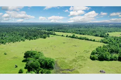 2792 County Road 145, Bedias, TX 77831 - Photo 45