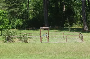 259 Memphis Bell Rd, Trinity, TX 75862 - Photo 47