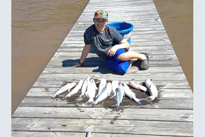 259 Memphis Bell Road, Trinity, TX 75862 - Photo 49