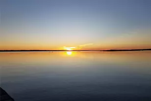 259 Memphis Bell Rd, Trinity, TX 75862 - Photo 49