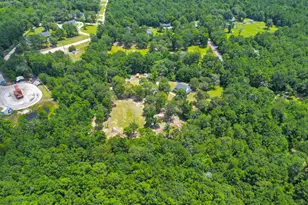 3907 Black Oak Ln, Montgomery, TX 77316 - Photo 19