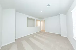 13312 Burbot Dr, Conroe, TX 77384 - Photo 13