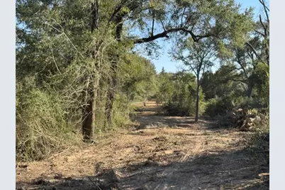 Tbd Sweed Road, Washington, TX 77880 - Photo 13