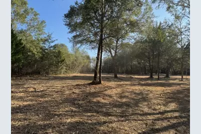 Tbd Sweed Road, Washington, TX 77880 - Photo 21