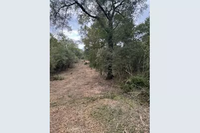 Tbd Sweed Road, Washington, TX 77880 - Photo 7