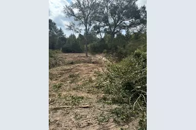 Tbd Sweed Road, Washington, TX 77880 - Photo 5