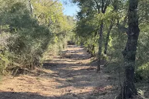 Tbd Sweed Rd, Washington, TX 77880 - Photo 1