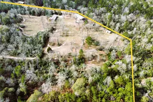 12848 Old Little Rd, Conroe, TX 77303 - Photo 43