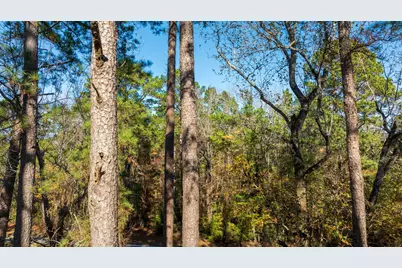 23684 Fm 227 E, Kennard, TX 75847 - Photo 13