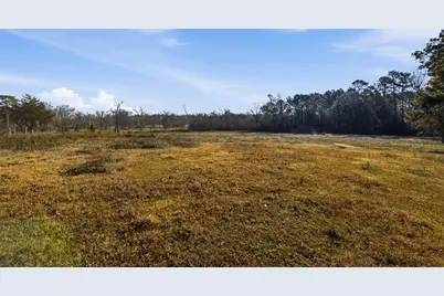 4009 Spring Branch Road, Montgomery, TX 77316 - Photo 7