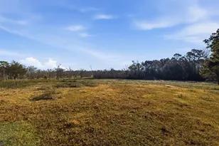 4009 Spring Branch Rd, Montgomery, TX 77316 - Photo 7