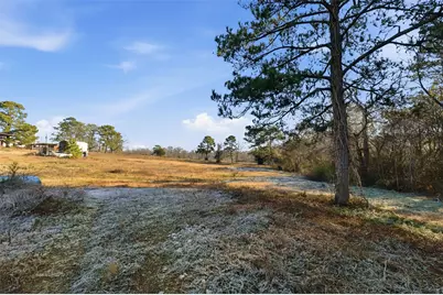 4009 Spring Branch Road, Montgomery, TX 77316 - Photo 11