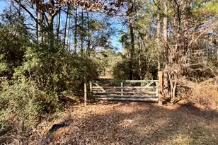 24728 Shady Oaks Blvd, Montgomery, TX 77316 - Photo 1