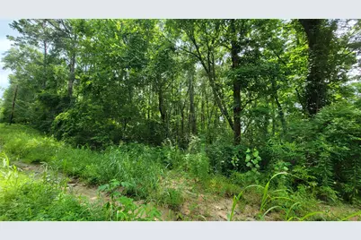 29,30,31,32 Eddie Martin Drive, Livingston, TX 77351 - Photo 5