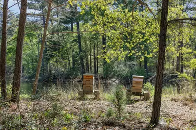 3702 County Rd 151, Bedias, TX 77831 - Photo 41