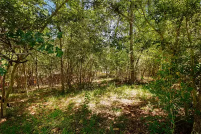 1711 Wickersham Drive, Huntsville, TX 77340 - Photo 13