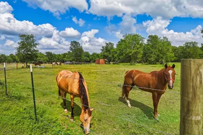 2325 Skrivanek Road, San Felipe, TX 77474 - Photo 33
