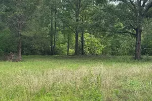 6370 Fm 1374 Rd, New Waverly, TX 77358 - Photo 1