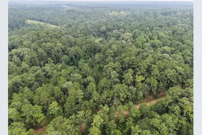 577 Winding River Rd-1, Oakhurst, TX 77364 - Photo 33