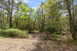 24953 Powers Ct, Montgomery, TX 77316 - Photo 33