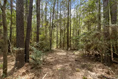 24953 Powers Court, Montgomery, TX 77316 - Photo 43