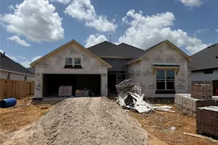 736 Golden Aster Blvd, Waller, TX 77484 - Photo 1