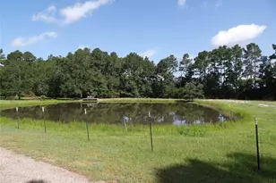 10967 Fm 1486 Rd, Richards, TX 77873 - Photo 11