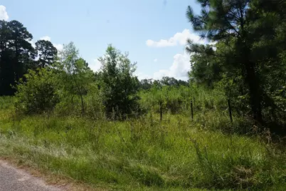 20130 Elm Street, New Caney, TX 77357 - Photo 5